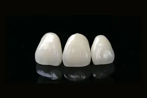 被せ物_イーマックス